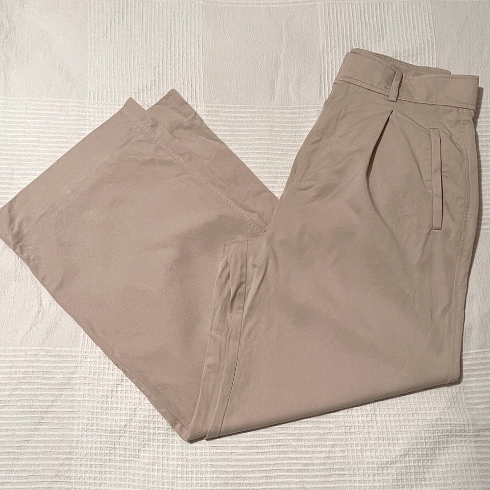 Everlane Way-High Draper Pant (Short)